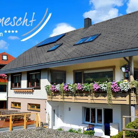 Bergnescht * Todtnauberg